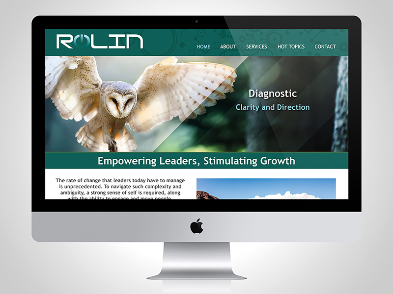 Website design for ROLIn - Return on Leadership Investment